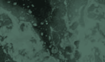 Aptos banner