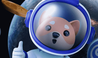 Baby Doge banner