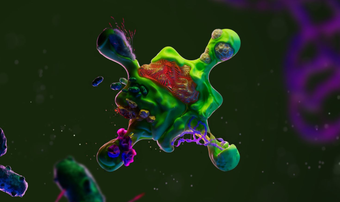 Bio Protocol banner