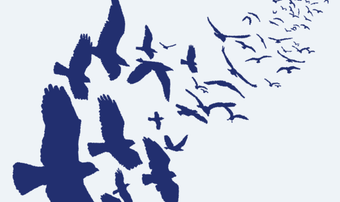 Ravencoin banner