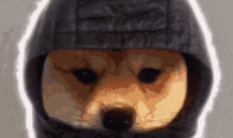 dogwifhat banner